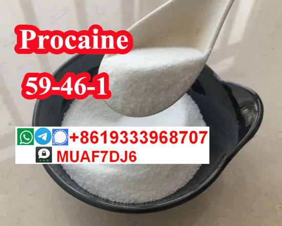 Procaine Factory Procainebase ProcaineSupplier CAS59461